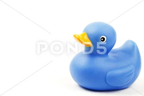 Blue rubber duck Stock Photos