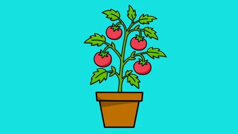 Blue screen animation of a swaying tomato tree Stock Footage 328561641
