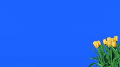 Blue Screen Floral Frame Animation with Plants and Flowers Stock Footage 320322049