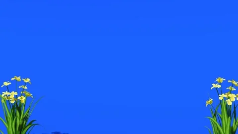 Blue Screen Floral Frame Animation with Plants and Flowers Stock Footage 320322051