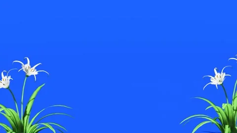 Blue Screen Floral Frame Animation with Plants and Flowers Stock Footage 320322054