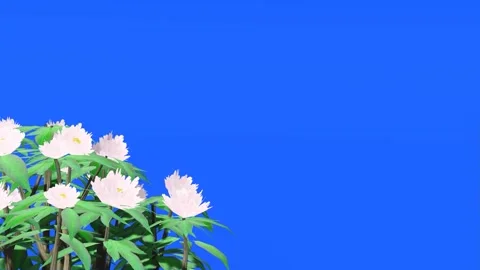 Blue Screen Floral Frame Animation with Plants and Flowers Stock Footage 320322055