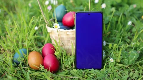 Blue screen, green screen chroma key on phone on a green clover field with Stock Footage 237749984