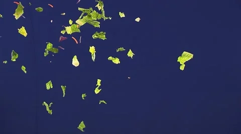 Blue Screen Lettuce Видео 42871293