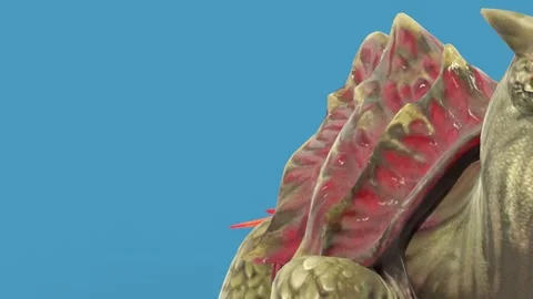 Blue Screen Monster Turtle Walks Front 3D Animations Rendering GCI 4K Stock Footage 341946744