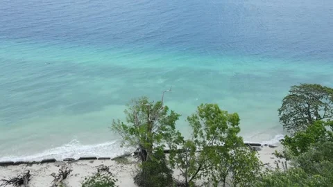 Blue sea on the beach and burrow ambon trees top view Stock Footage 213929913