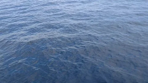 Blue Sea 動画素材 243518033