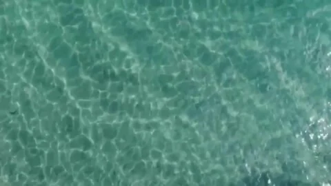 The Blue Sea Vídeos de archivo 274002398