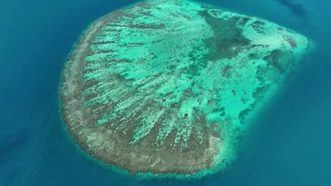 Blue Sea with A huge underwater reef. Aerial View Tropical Barrier Stock Footage 293301266