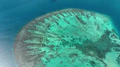 Blue Sea with A huge underwater reef. Aerial View Looking Straight Down Stock Footage 295748896