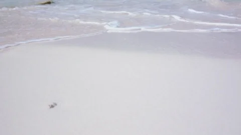Blue sea shore Stock Footage 80380520
