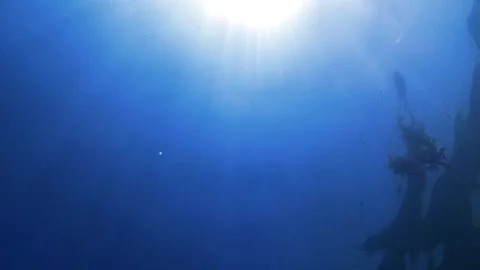 Blue sea, sun rays underwater. Waves Stock Footage 339787305