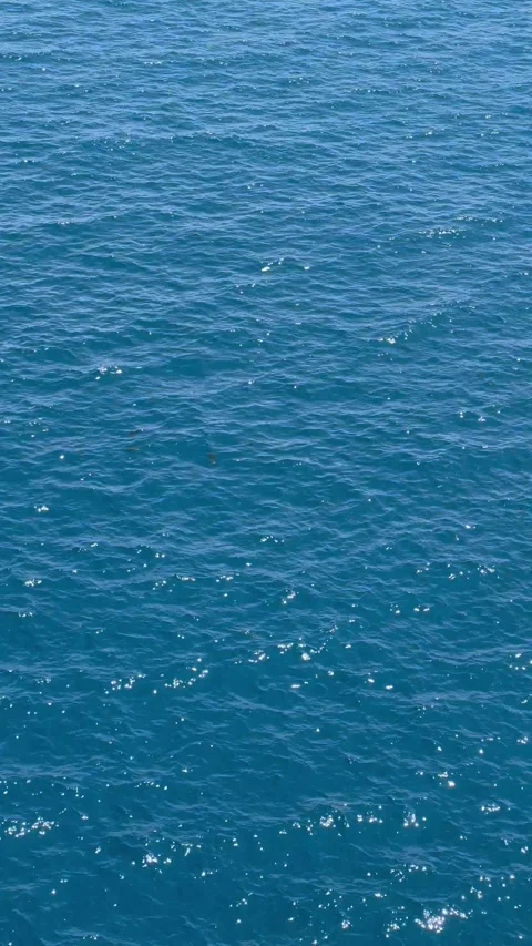 Blue Sea surface from above Stock Footage 337025716