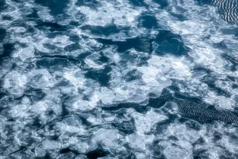 Blue sea surface with thin ice texture, background Stock Photos