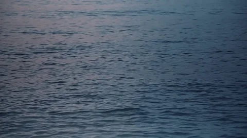 Blue Sea Surface Waves Evening Sun Reflection Video stock 80953429