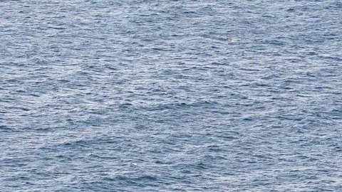 Blue sea surface with waves Stock-Footage 107488957