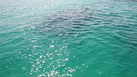 Blue sea texture background. Red Sea, Egypt, crystal clean water, waves Vídeo Stock 83419350