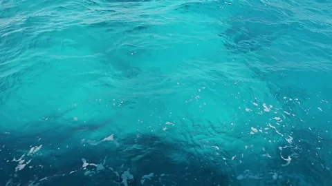 Blue sea texture background. Red Sea, Egypt, crystal clean water, waves Stock Footage 83419382