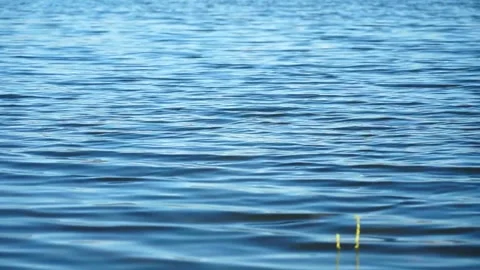Blue sea waves in calm Stock Footage 252137537