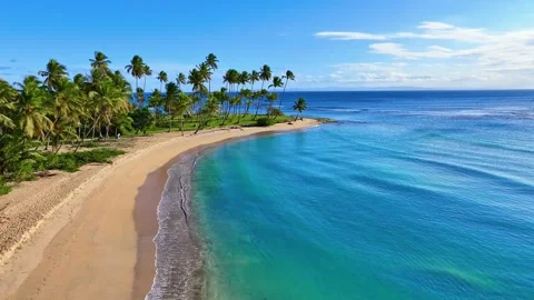Blue sea waves form a seamless loop on a white Hawaiian sand beach. Stock Footage 327631827