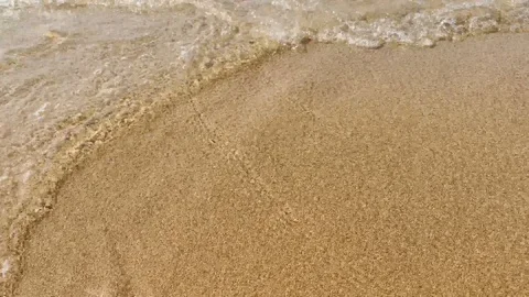 Blue sea waves on the sandy beach in the sunny daytime 4K Video stock 119319060