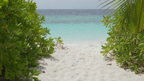 Blue sea with waves, wind and white sand beach. Nature tropical Island Stock Footage 164242257