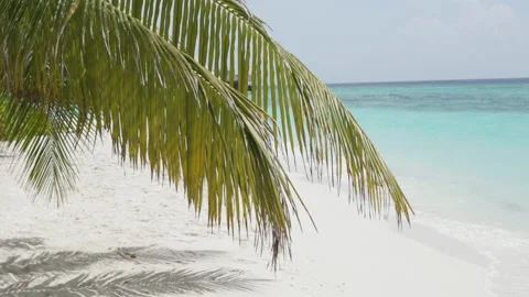 Blue sea with waves, wind and white sand beach. Nature tropical Island Stock Footage 164242813