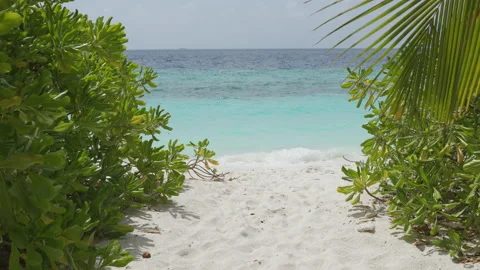 Blue sea with waves, wind and white sand beach. Nature tropical Island Stock Footage 168693748