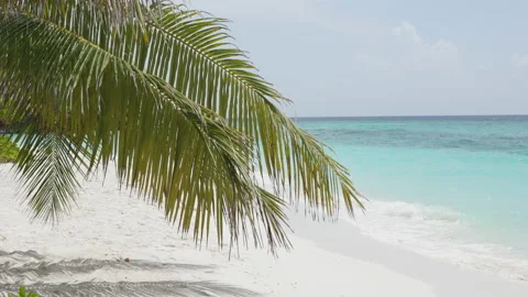 Blue sea with waves, wind and white sand beach. Nature tropical Island Stock Footage 168694438