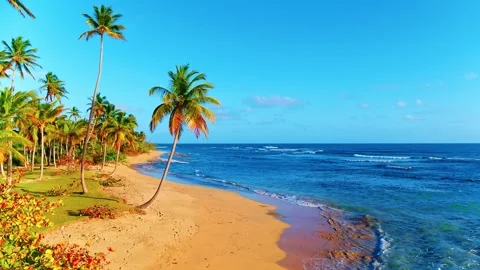 Blue sea waves on the yellow sand of a palm beach on a sunny day. Stock Footage 272565341
