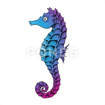 Blue Seahorse Line Art Illustration Stock Illustration