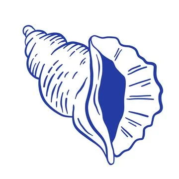 Blue Seashell hand draw vector illustration. Sea life doodle icon Stock Illustration