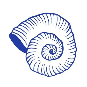 Blue Seashell hand draw vector illustration. Spiral mollusc doodle icon Stock-Illustration
