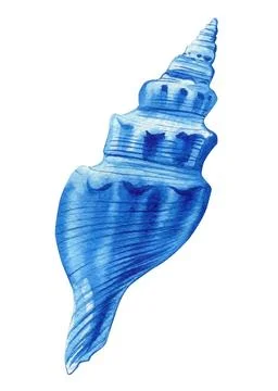 Blue seashell on isolated white background, watercolor hand-drawing painting Stock Illustration