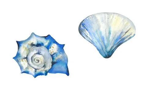 Blue seashell set. Watercolour illustration isolated on white. Stock Illustration