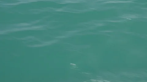 Blue see with small waves Stock Footage 120676589