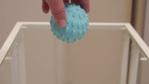 Blue Sensory Ball Drops Gently onto Smooth Clear Glass Table Stock Footage 321436699
