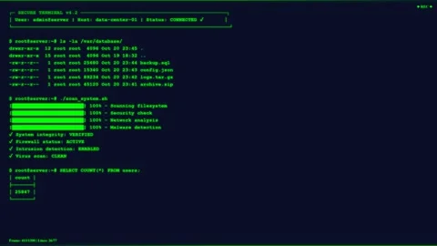 Blue Server Terminal Security Check Backup Rsync Command Line Screen. Stock Footage 348103689