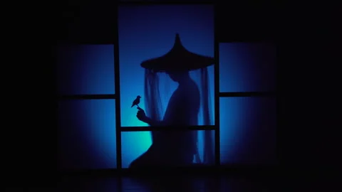 Blue shadow in a theatre 動画素材 182605208