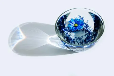 Blue shadow water flower glass bright ray sun light acrylic paint astra calen Stock Photos
