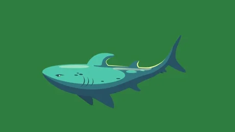 A blue shark on green background and an image of green screen animated Vídeos de archivo 335068253
