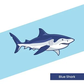 Blue Shark Vector Illustration - Sleek Pelagic Predator Cartoon Character M.. Stock Illustration