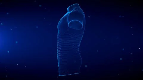 Blue Shine Side View 3d Human Male Torso Wireframe Hologram With Light Flare  Stock Illustration