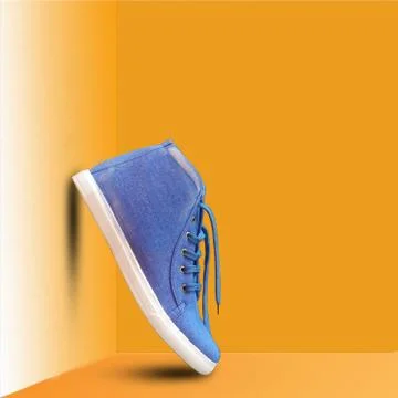 The blue shoes Stock Photos