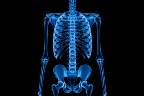 Blue skeletal structure stands against a stark black background Stock Illustration