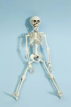 Blue skeleton Stock Photos