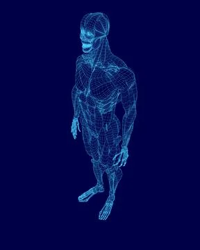 Blue skeleton is standing on a blue background. The skeleton is in a very Illustrazione stock
