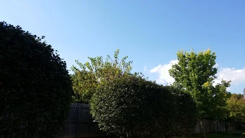 Blue Skies #2 Stock Footage 95158184
