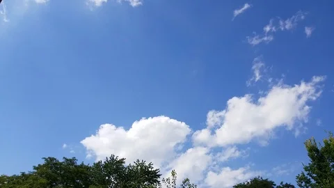 Blue Skies #2 Stock Footage 95158584