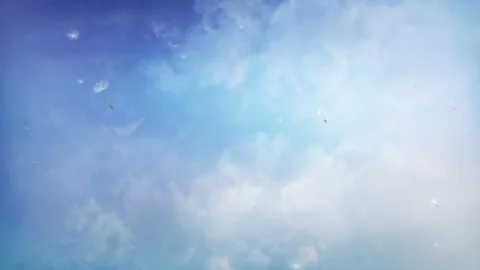 Blue Skies Clouds with Floating Dandelions 4K Loop Video stock 264712809